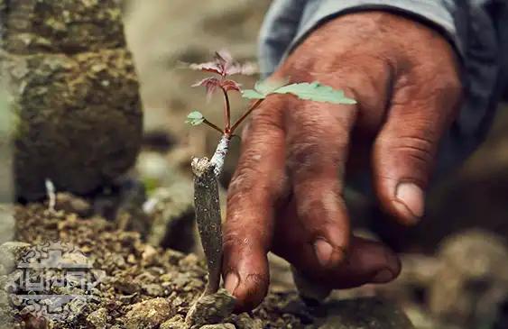 Sustainability