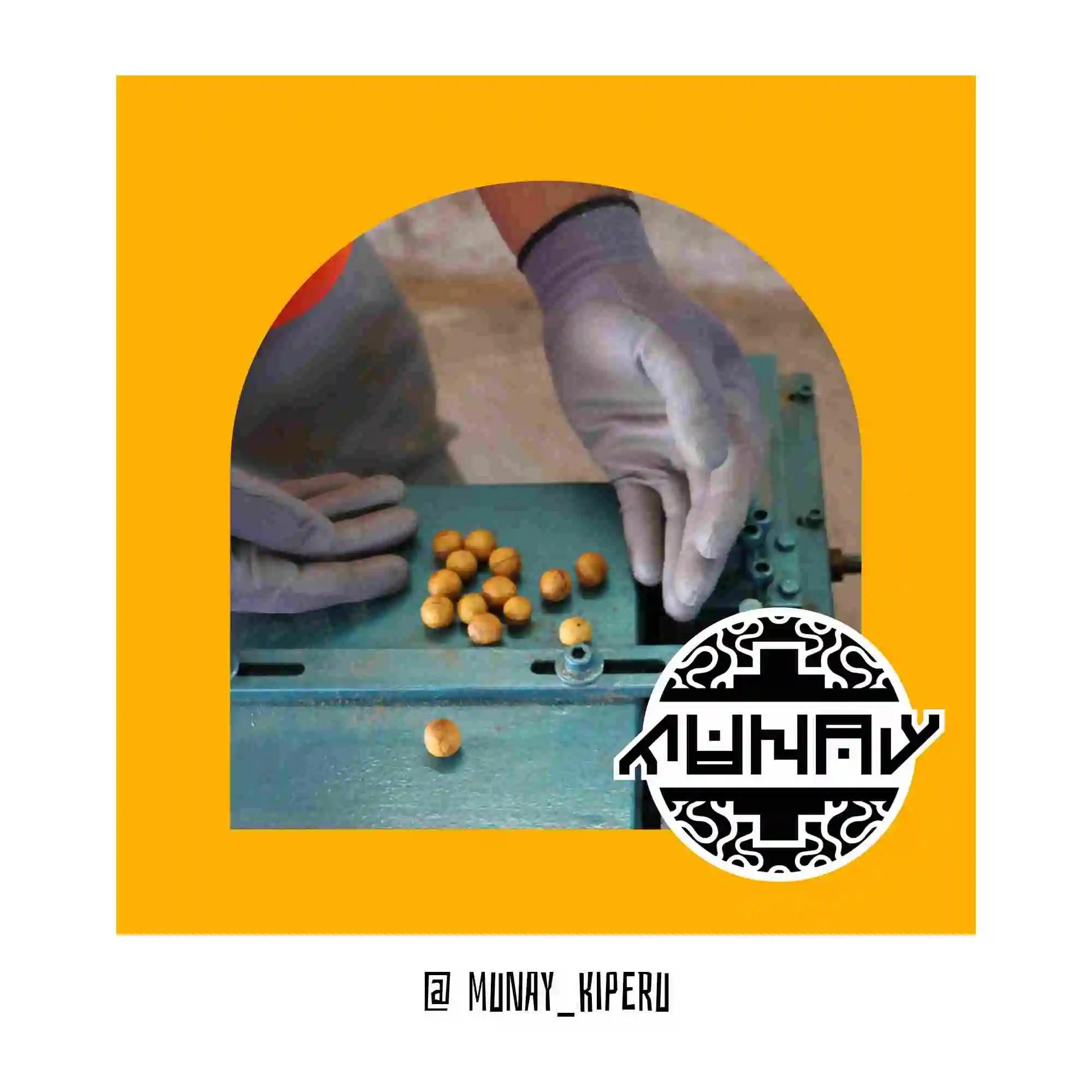 Unlocking Spirituality: Munay’s Handcrafted Palo Santo Beads for Spiritual Jewelry