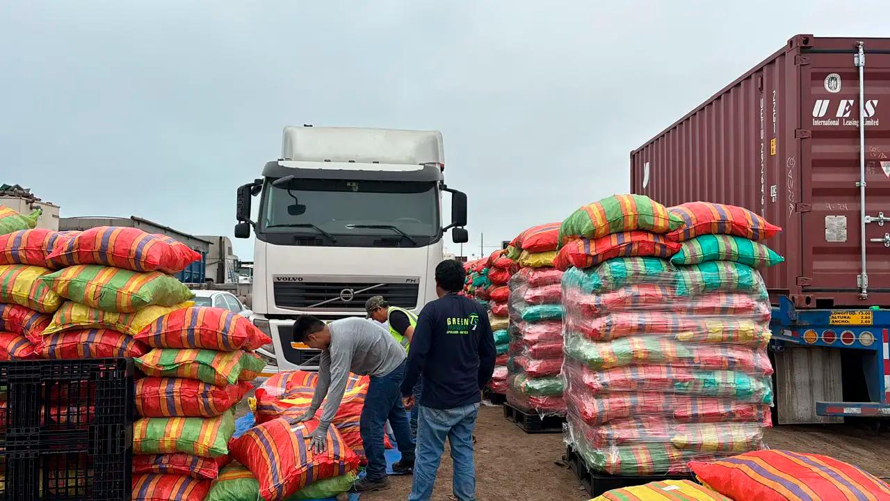 Palo Santo Shipping to USA