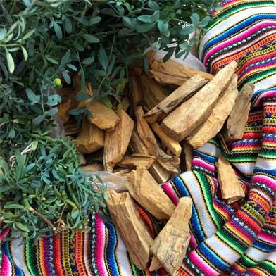 como diferenciar el palo santo real